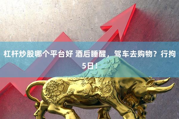 杠杆炒股哪个平台好 酒后睡醒，驾车去购物？行拘5日！