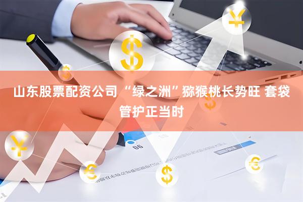 山东股票配资公司 “绿之洲”猕猴桃长势旺 套袋管护正当时