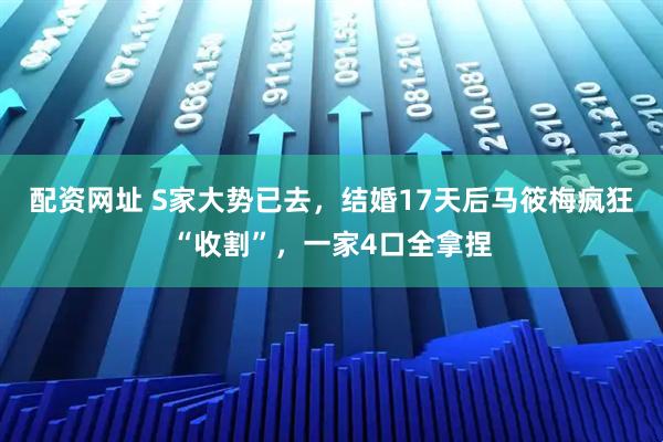 配资网址 S家大势已去，结婚17天后马筱梅疯狂“收割”，一家4口全拿捏