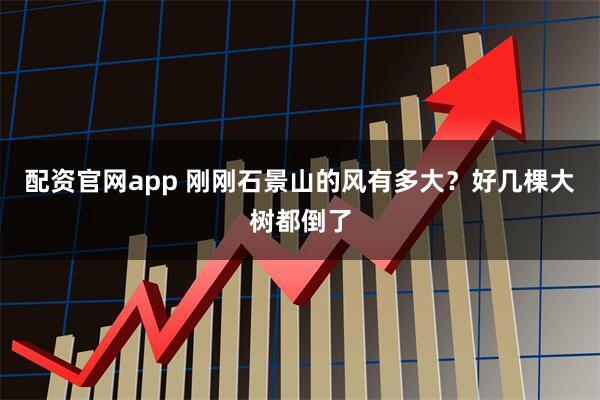 配资官网app 刚刚石景山的风有多大？好几棵大树都倒了