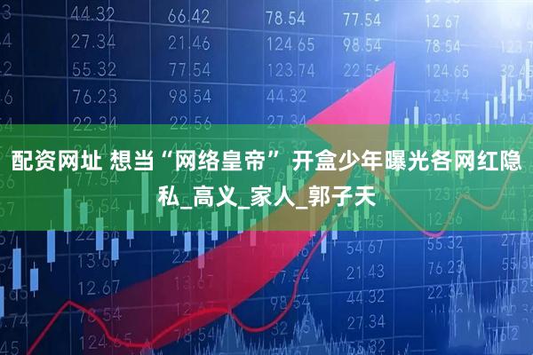配资网址 想当“网络皇帝” 开盒少年曝光各网红隐私_高义_家人_郭子天
