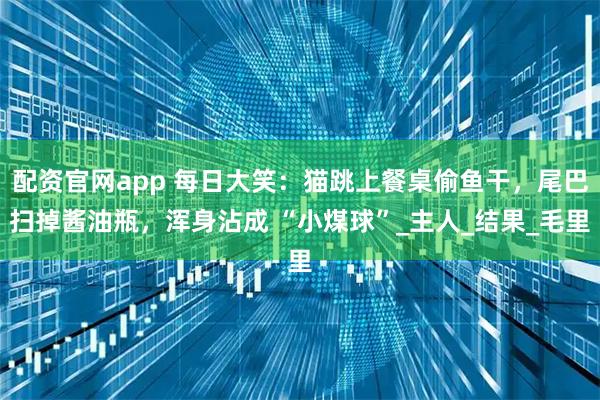 配资官网app 每日大笑：猫跳上餐桌偷鱼干，尾巴扫掉酱油瓶，浑身沾成 “小煤球”_主人_结果_毛里